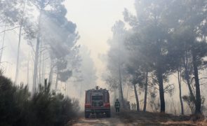 Quase 800 operacionais combatem fogos em Oliveira de Azeméis e Castelo Branco