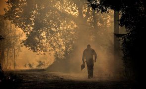 Dois mortos nos incêndios de Sever do Vouga e Albergaria-a-Velha