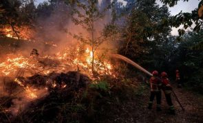 Mais de 100 concelhos mantêm-se em perigo máximo de incêndio rural