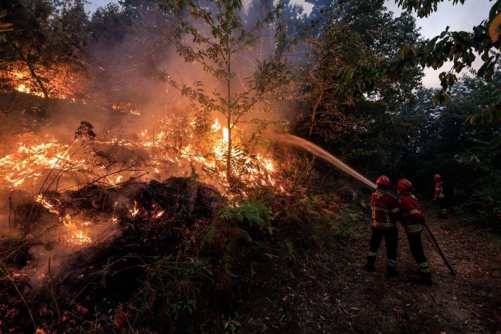 Mais de 100 concelhos mantêm-se em perigo máximo de incêndio rural