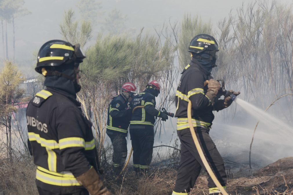 Fogo no concelho de Castelo Branco destruiu 300 hectares