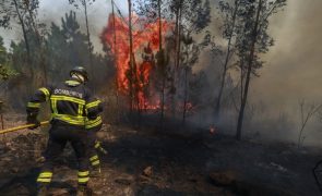 Incêndios causam 7 mortos, casas destruídas e vias cortadas no Centro e Norte