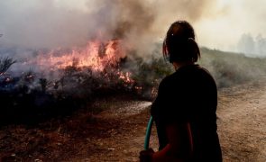 Combate às chamas em Gondomar complicado e fogo com várias frentes