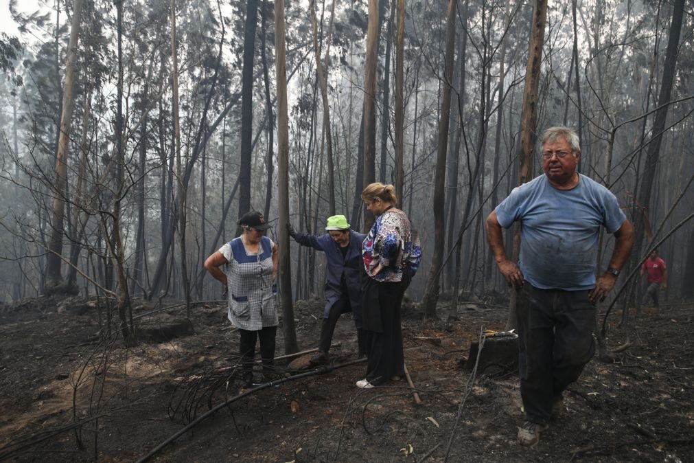 Fogos de Sever do Vouga em rescaldo mas 