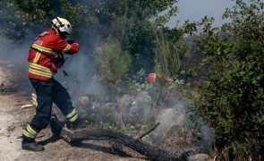 Fogo em Santo Tirso com vários pontos ativos após reacender de madrugada