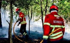 Mais de 121 mil hectares arderam em Portugal continental desde domingo