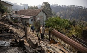 Governo aprova subsídio especial para prejuízos agrícolas provocados pelos incêndios até 6.000 euros