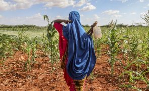 Fome pode agravar-se na Somália à medida que se aproxima o fenómeno La Niña