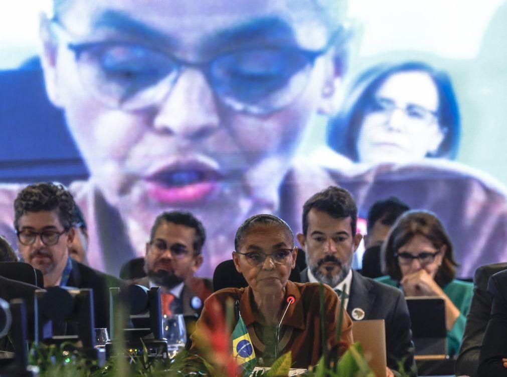 G20 apoia fundo mundial proposto pelo Brasil para proteger florestas tropicais