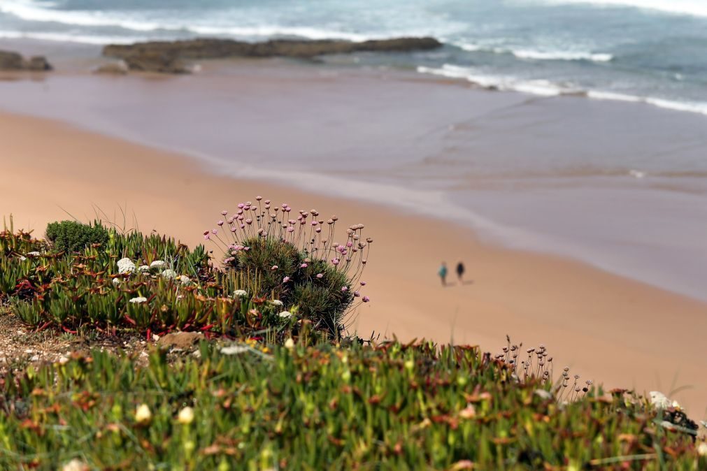 Foco de poluição detetado em praia do Algarve desconhecendo-se a sua origem