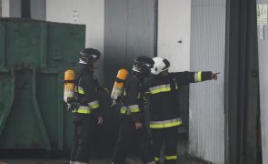 Incêndio em fábrica de paletes em Leiria combatido por 46 homens de corporações da região