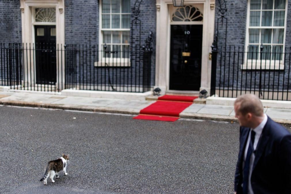 Duas telas de Paula Rego em destaque em Downing Street