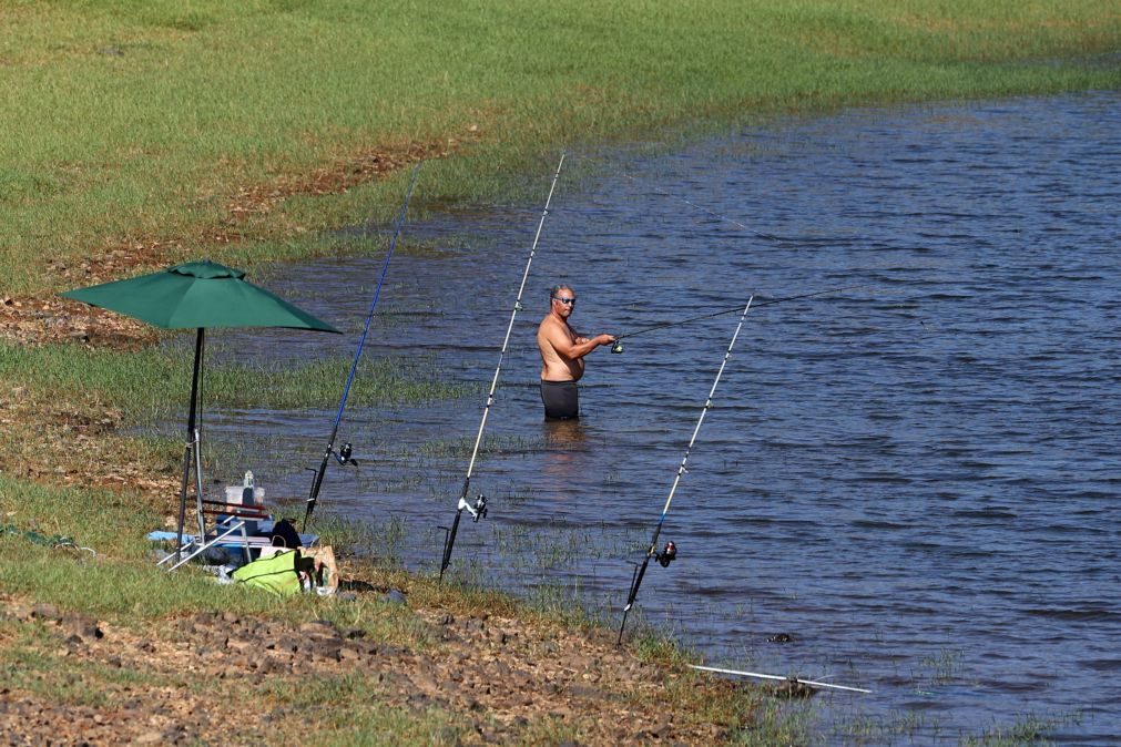 Pescadores lúdicos vão ter de registar capturas em aplicação a partir de 2026