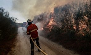 Concelho de Nelas com prejuízo superior a 1,5 milhões de euros devido aos incêndios