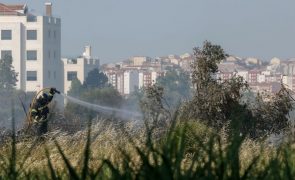 Caixotes de lixo e viaturas incendiadas em vários bairros de Lisboa