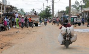 Moçambique/Ataques: Encontrados três mortos com sinais de degolação em Macomia