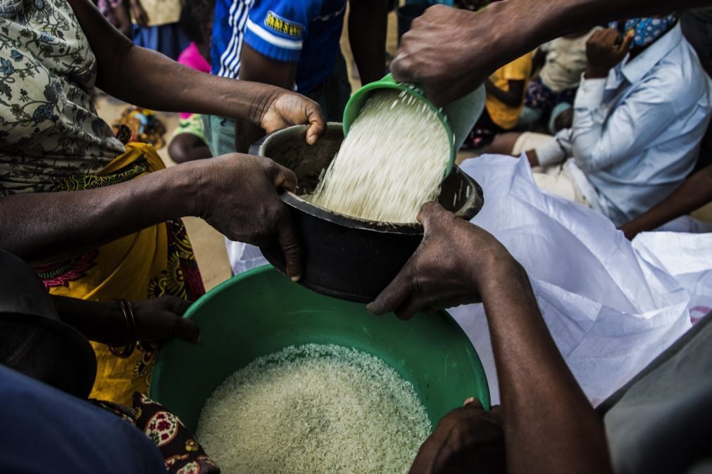 Angola produz 40 mil toneladas de arroz e importa 15 vezes mais