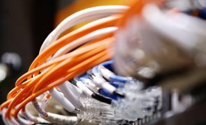 Fibra ótica com crescimento de mais de 7% em 2023