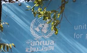 Chefe da UNRWA pede a membros da ONU que impeçam desmantelamento da agência