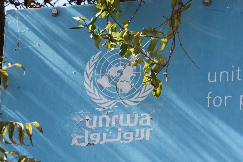 Chefe da UNRWA pede a membros da ONU que impeçam desmantelamento da agência