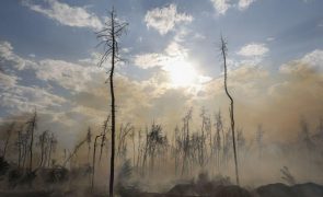 Estragos ambientais causados pela invasão russa da Ucrânia estimados em 71 MMUSD