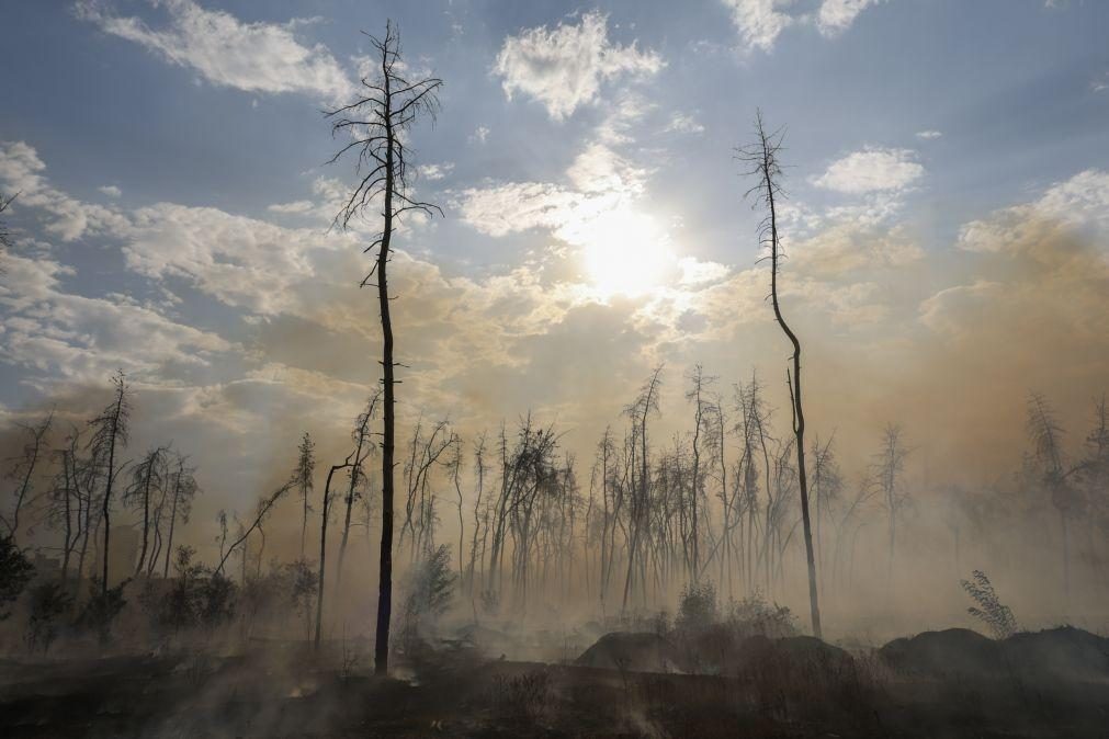 Estragos ambientais causados pela invasão russa da Ucrânia estimados em 71 MMUSD