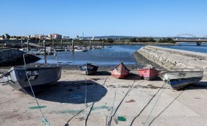 Lodos na Figueira da Foz ameaçam matar quem cair à água