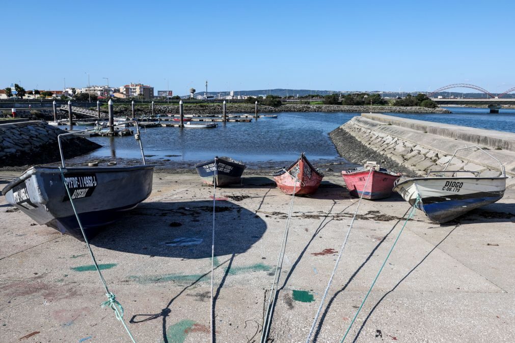 Lodos na Figueira da Foz ameaçam matar quem cair à água