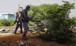 Cruz Vermelha pede apoio das associações comunitárias para combate à dengue em Cabo Verde