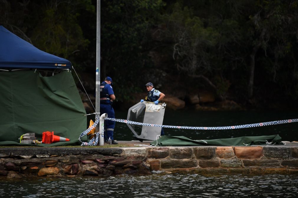 Seis mortos em queda de hidroavião turístico em Sydney