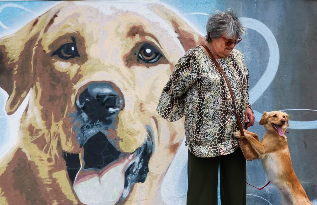 Retalho de produtos para animais em expansão no mercado nacional