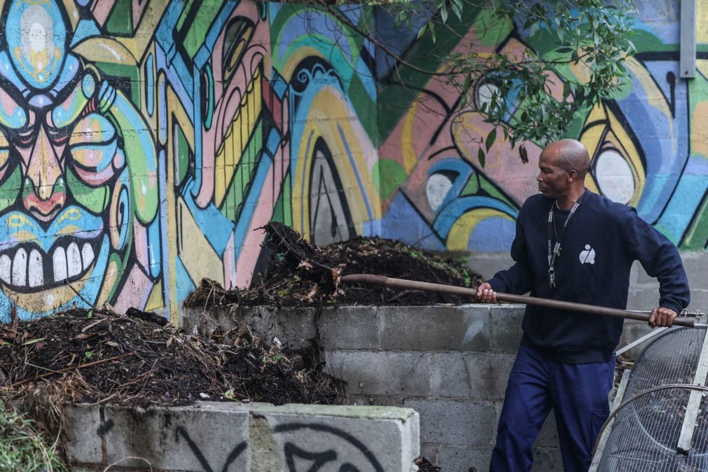 Jardim plantado em carpetes forra paredes e mantém temperatura na cozinha da FCUL