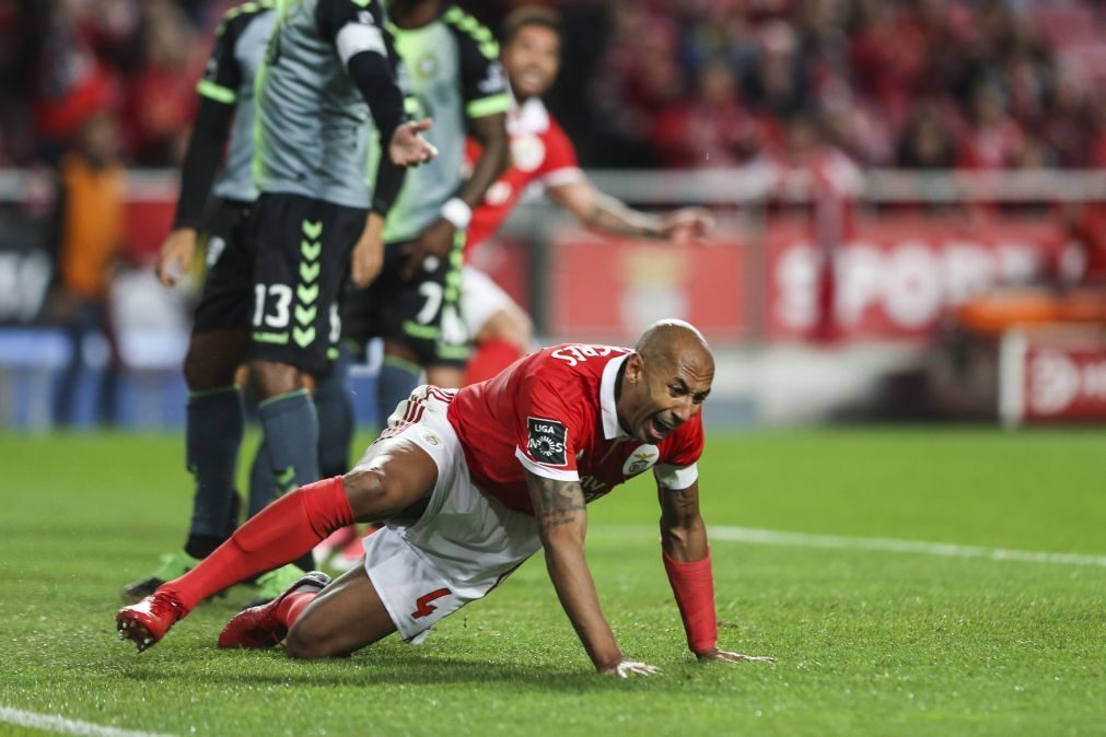 Luisão vai deixar o Benfica no final da temporada