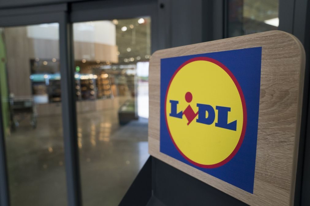 Lidl vai deixar de vender sacos de plástico até ao final do ano