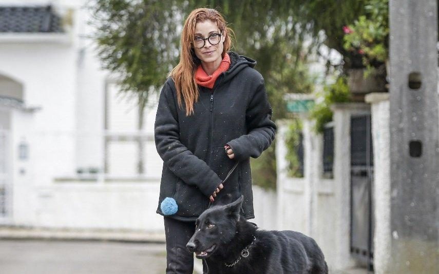 Bastet Cabeleira irreconhecível Defende-se das acusações de maus-tratos aos cães