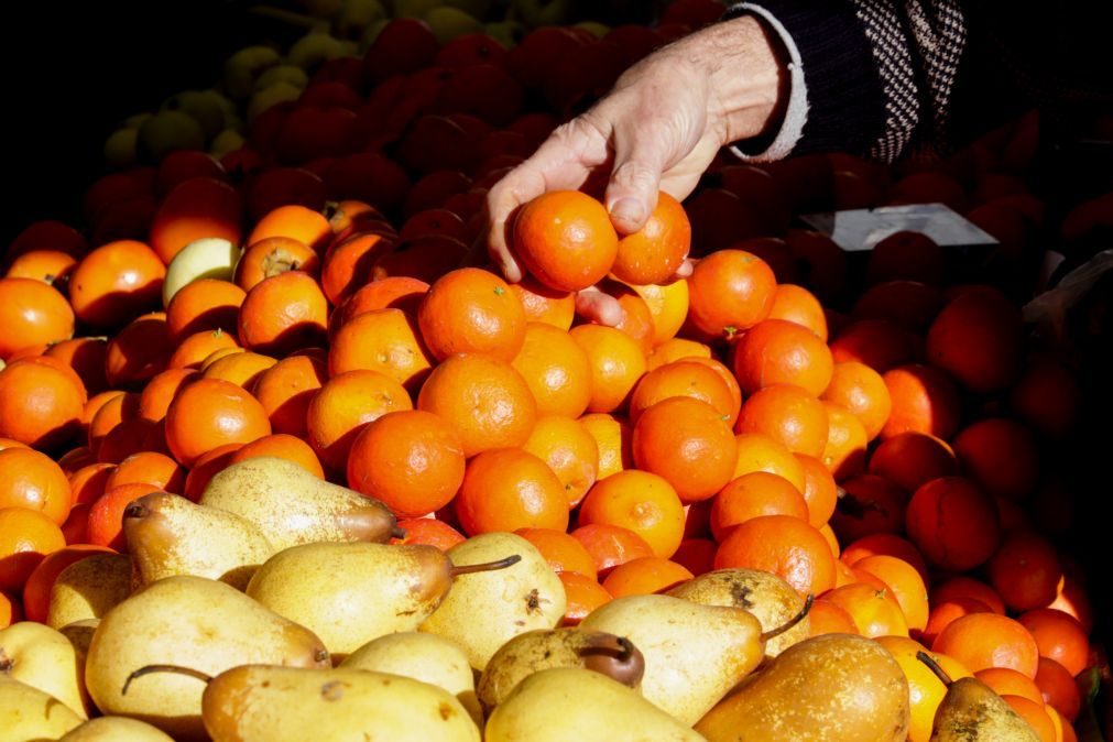 Covid-19: Governo aposta na fiscalização para minimizar contágios nas campanhas da fruta