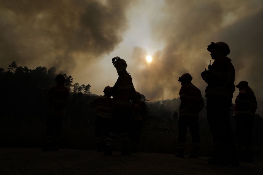 Incêndios: Quatro meios aéreos e 150 operacionais combatem fogo em Alijó