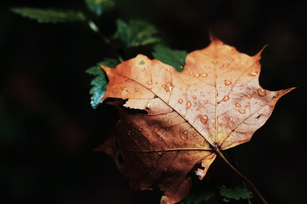 Meteorologia: Previsão do tempo para sexta-feira, 13 de novembro