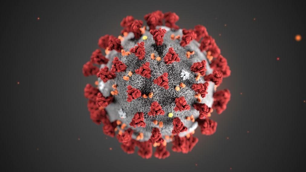 Do ébola ao plasma. A procura de tratamento na corrida contra a covid-19