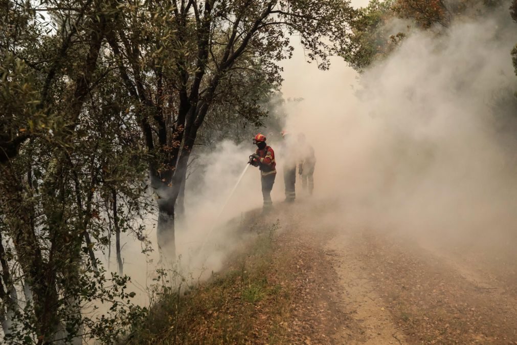 Já não há chamas no perímetro controlado pelos bombeiros em Góis