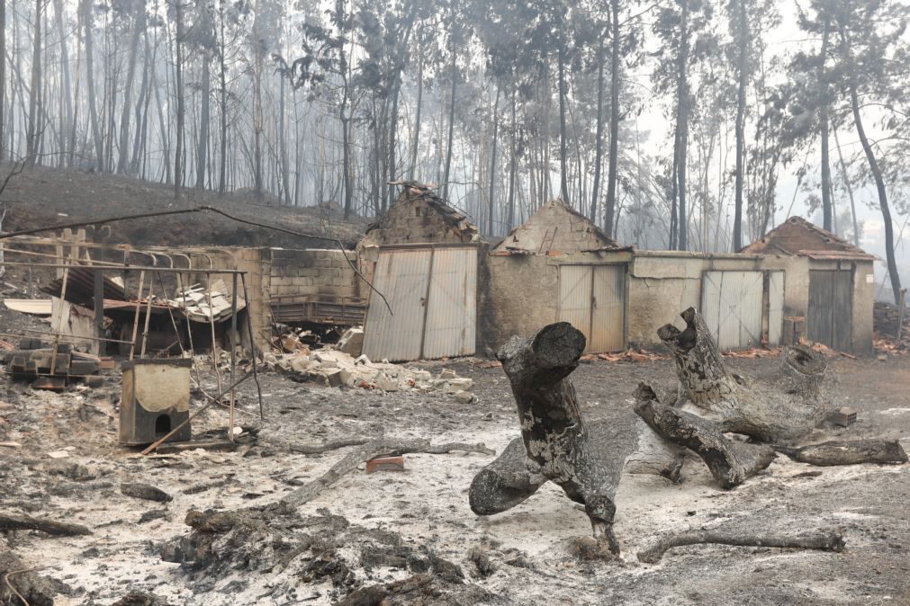 Tragédia Pedrógão Grande destruiu 20 casas e afetou 100 postos de trabalho