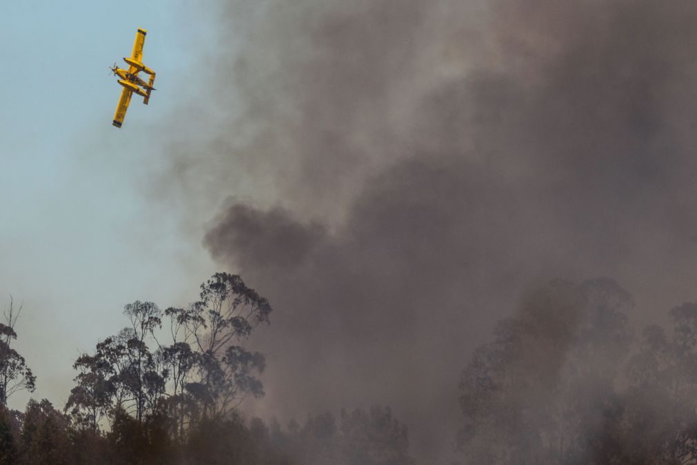 13 concelhos portugueses em risco 'máximo' de incêndio