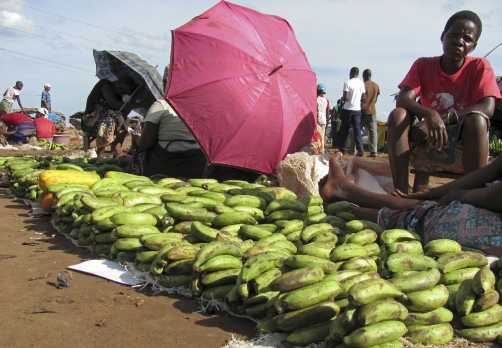 Aumento da fome e falta de chuva coloca em estado de alerta África Oriental