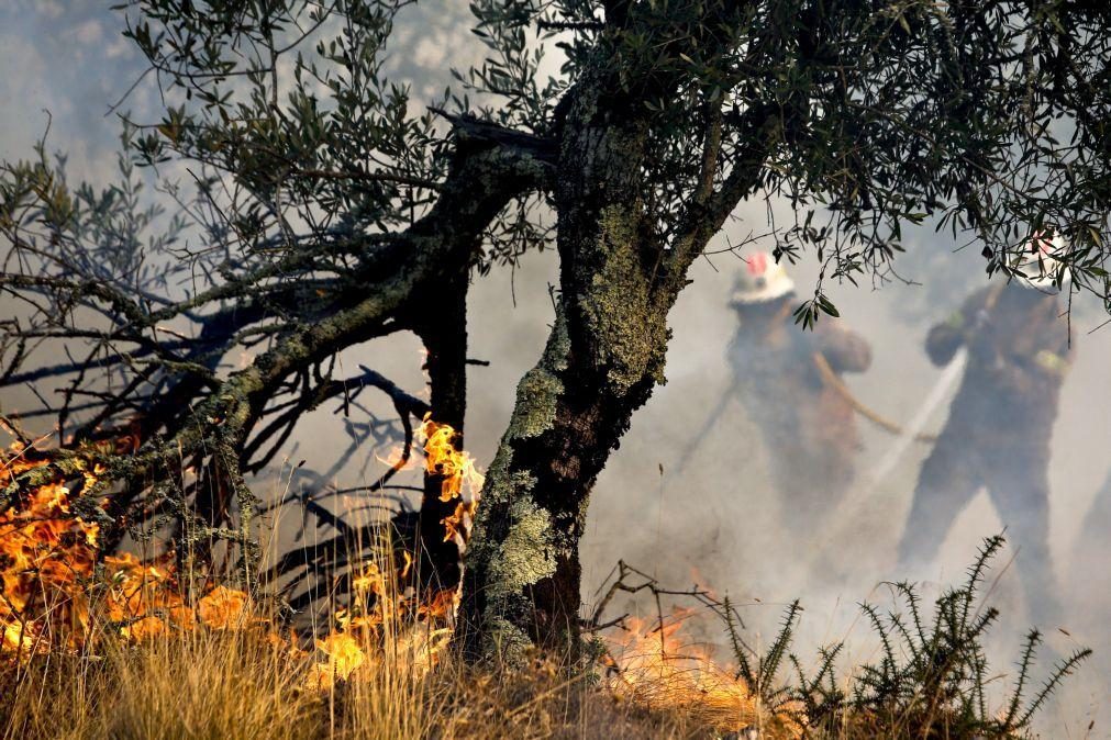 Incêndio em Castro Marim teve reativação forte