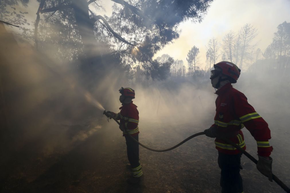 Incêndios: Bloco de Esquerda questiona Governo sobre novas falhas