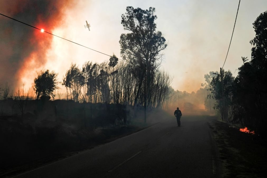 Fogo de Mangualde consumiu mais de 50% da área da freguesia de Tavares