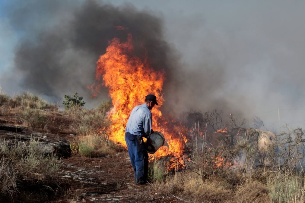 Incêndios: Fogo em Rochoso em rescaldo com 608 operacionais