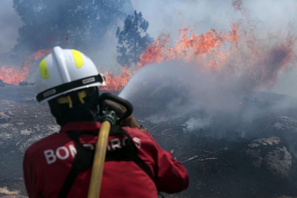 Autoridade Nacional de Proteção Civil rejeita 'lei da rolha'