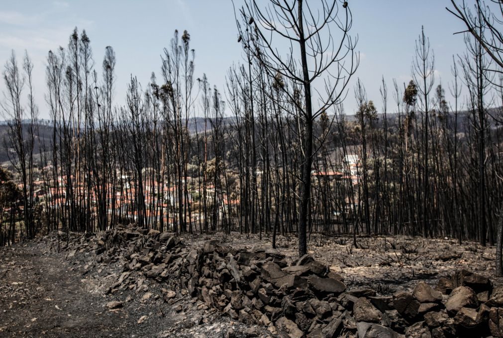 Estado disponível para adiantamento às empresas afetadas pelos incêndios