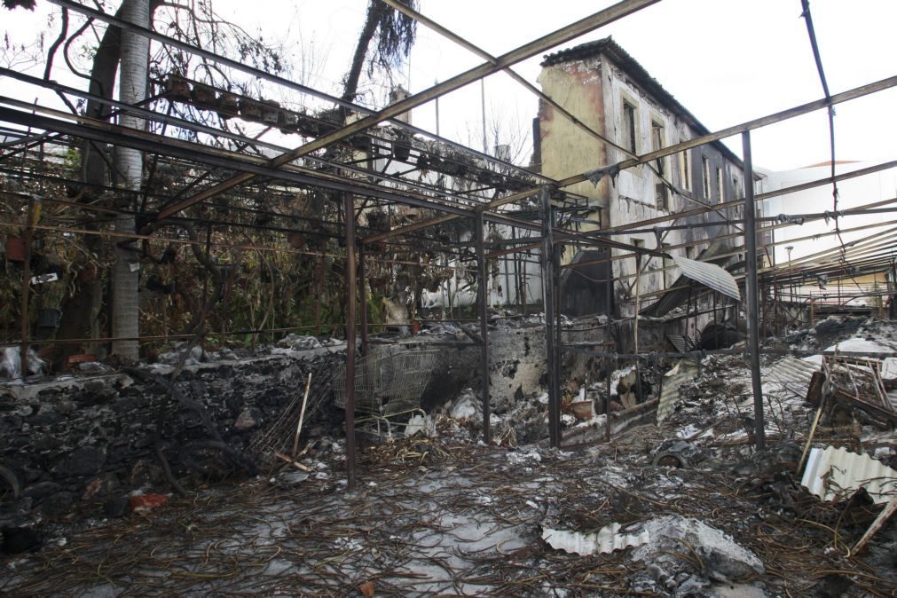 Aprovado apoio extraordinário à habitação para famílias afetadas por incêndios